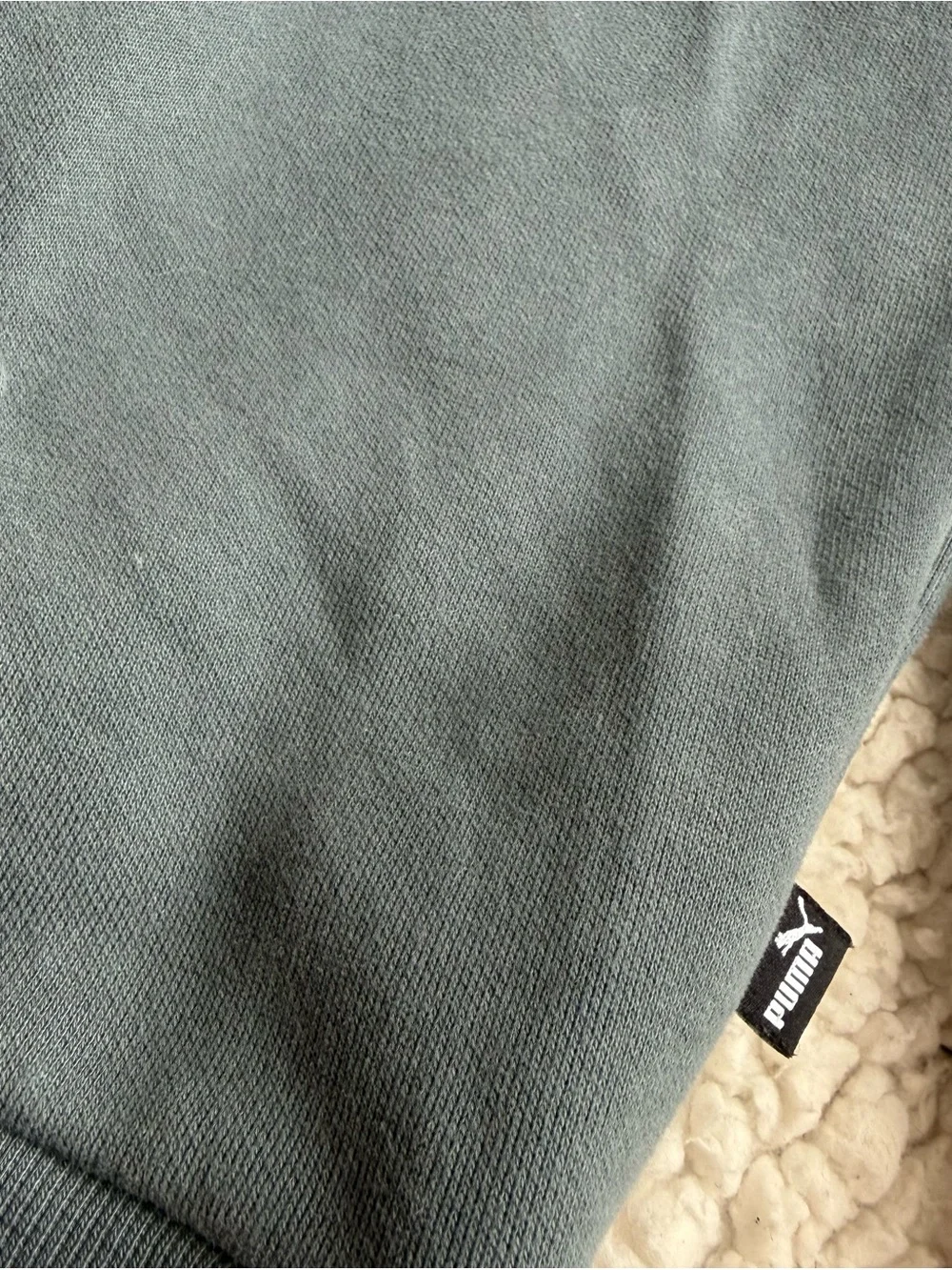 Puma Oversized Muted Sage Green Hoodie XL